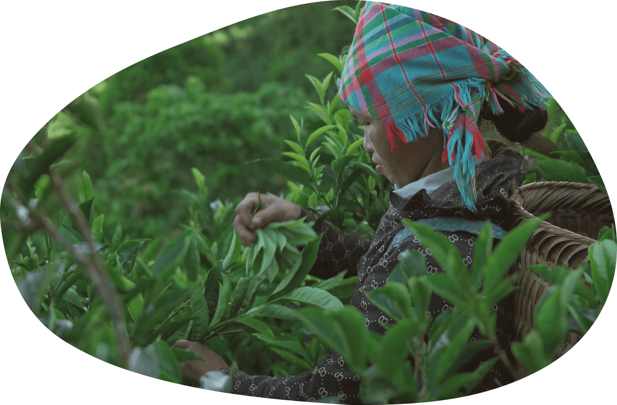 Farmer